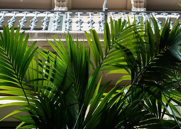 Well And 4* Barcelone